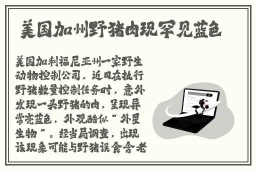 主卧外面有个平台怎么利用